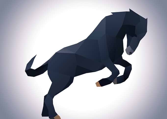 Horse Poly