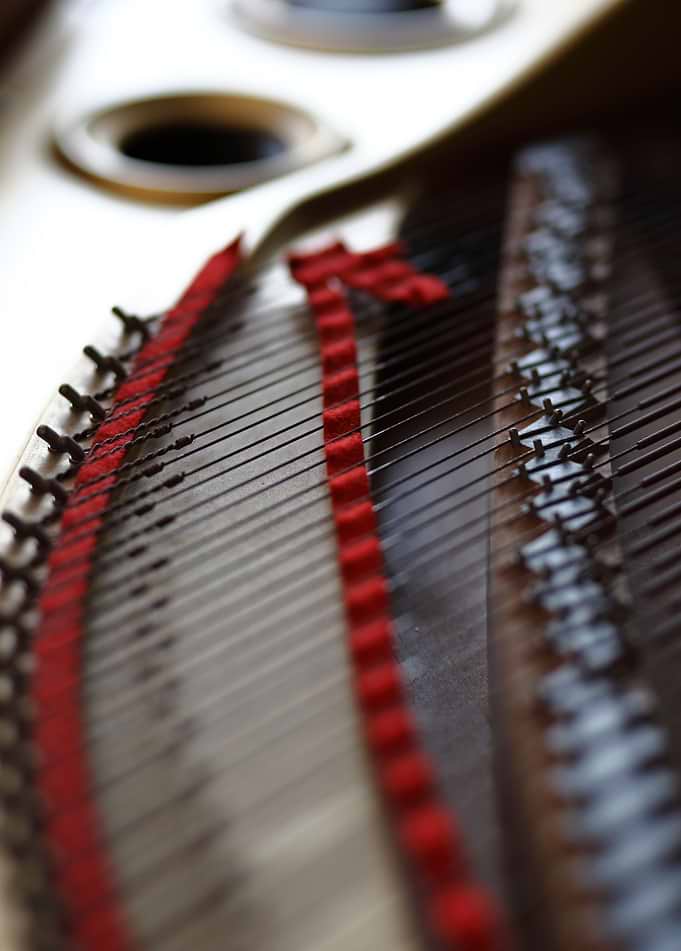 Details inside Grand Piano