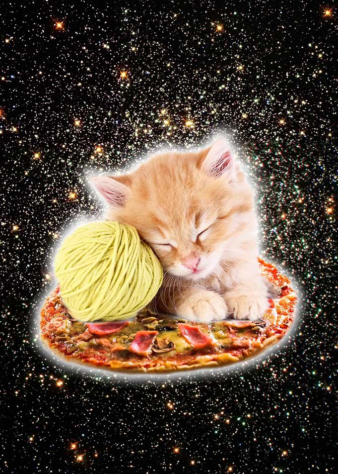 Cat Riding Pizza In Space