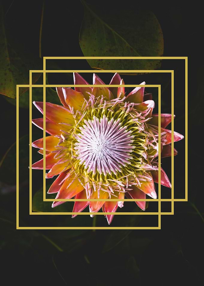 FLOWER 4