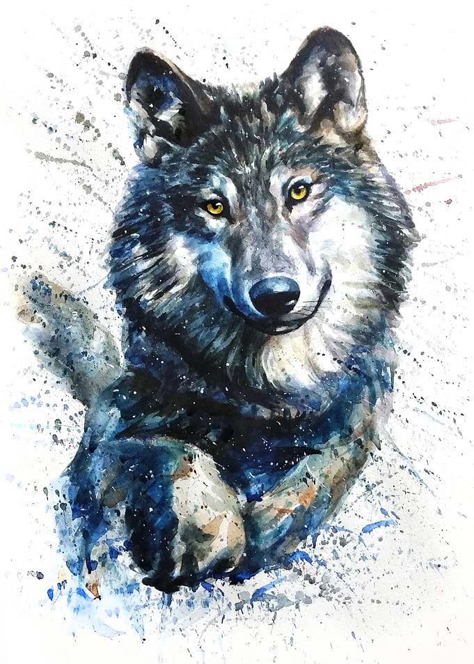 Wolf