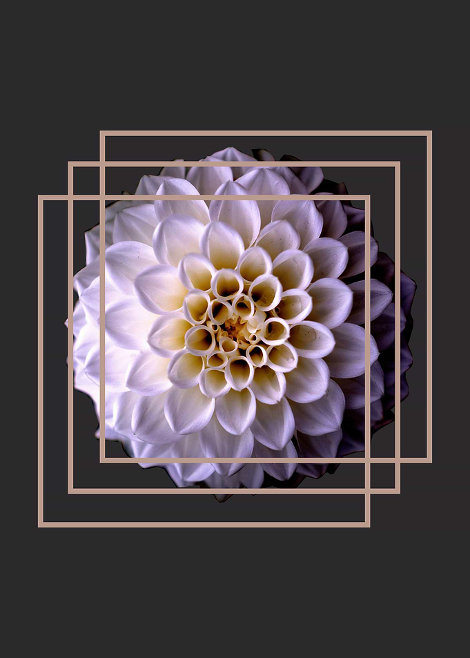 FLOWER 14