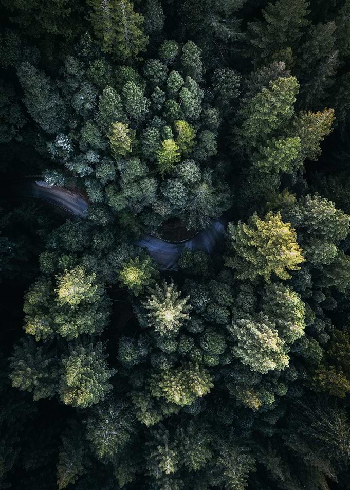 nature08