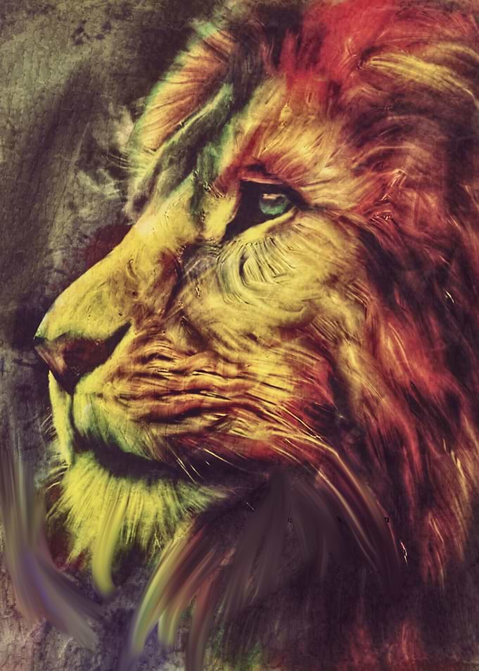 lion colors abstract
