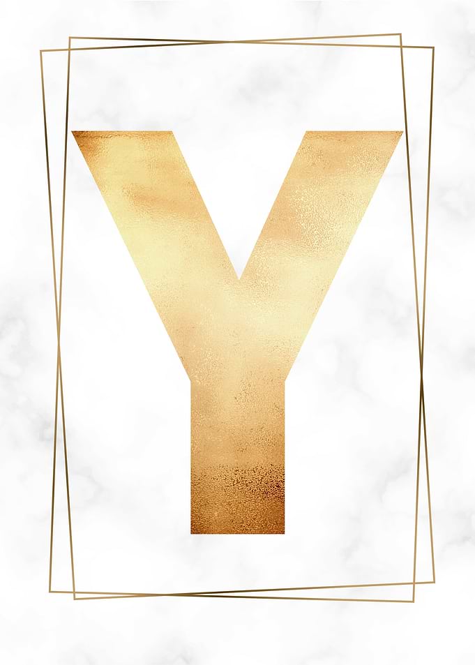LETTER Y
