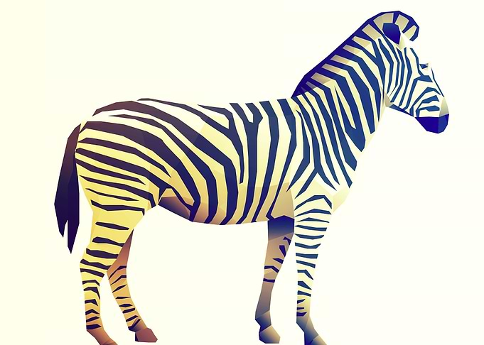 Zebra Poly