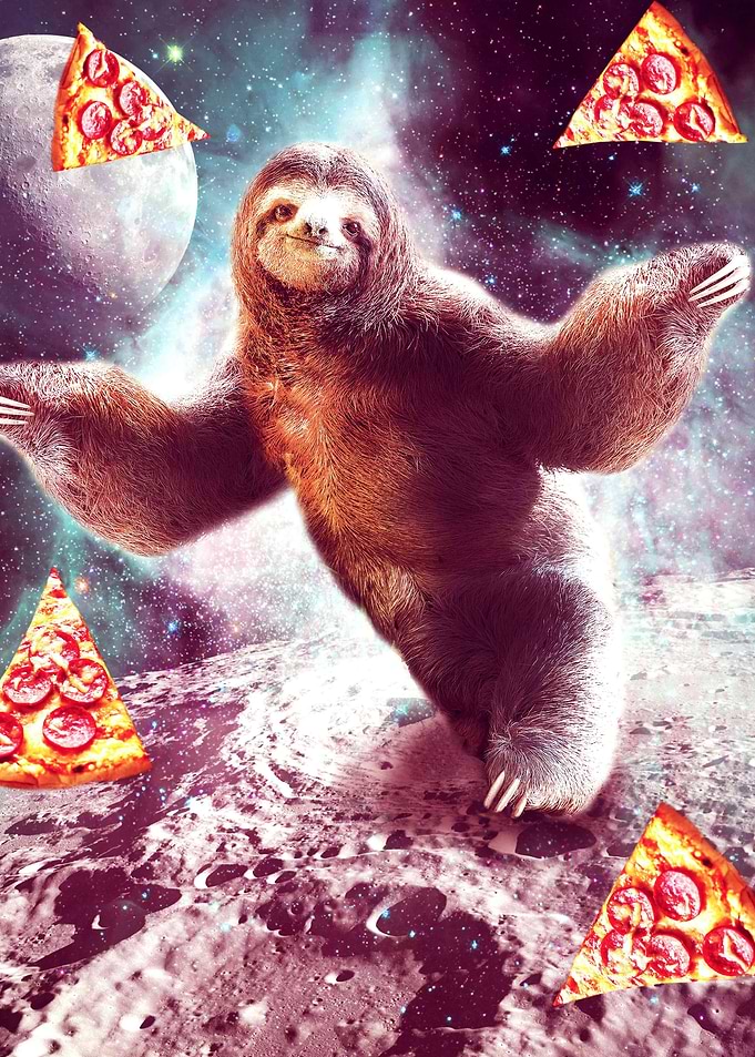 Space Sloth With Pizza