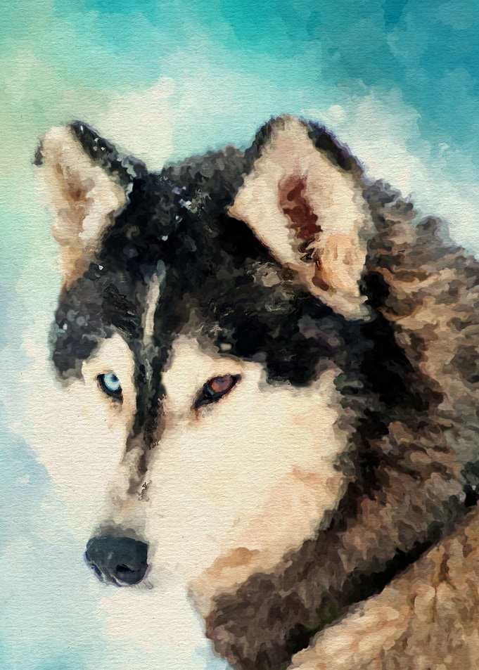 Alaskan Malamute