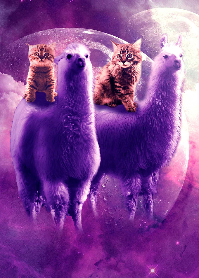 Cat Riding On Llama
