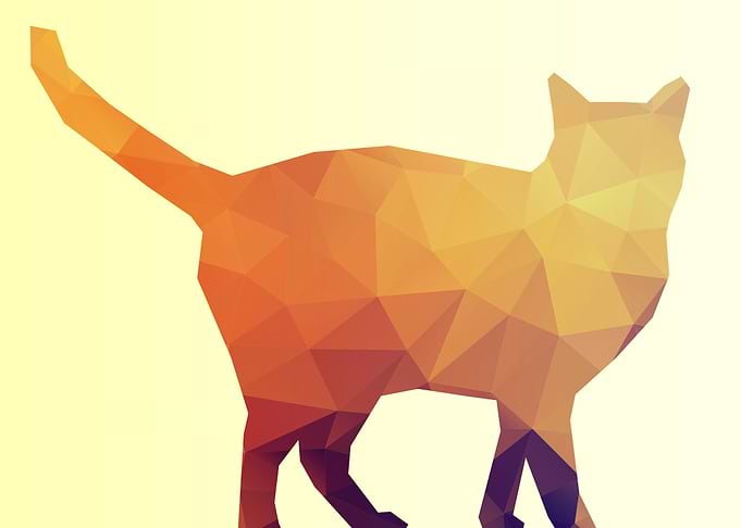 Cat Poly