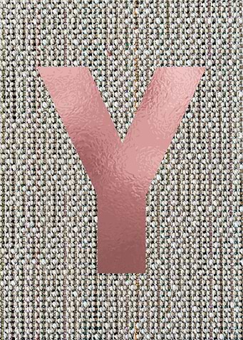 LETTER Y