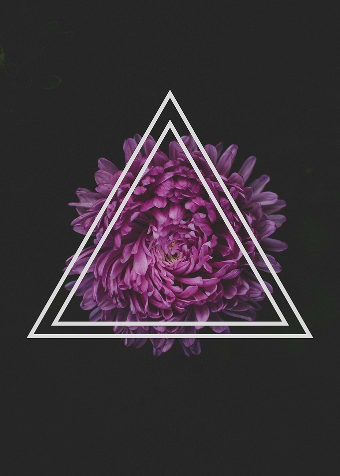 FLOWER 13