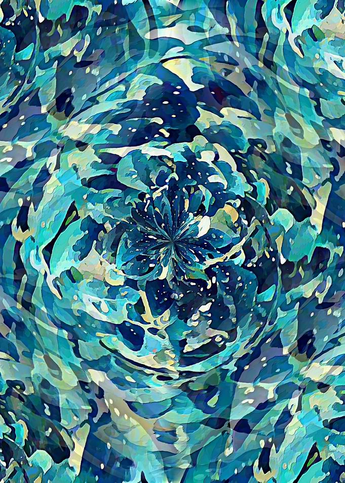 Winter Rose