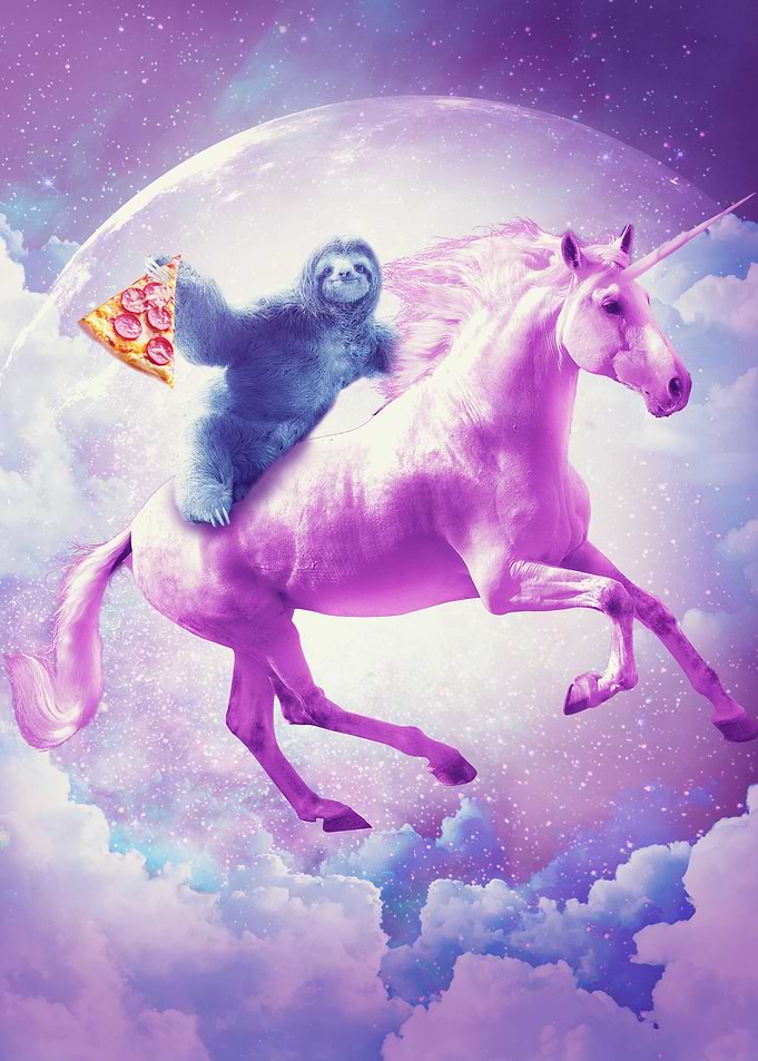 Sloth Riding Unicorn