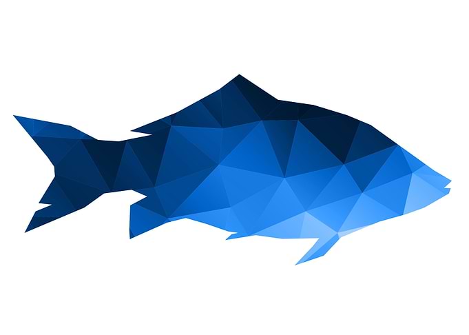 Fish Poly