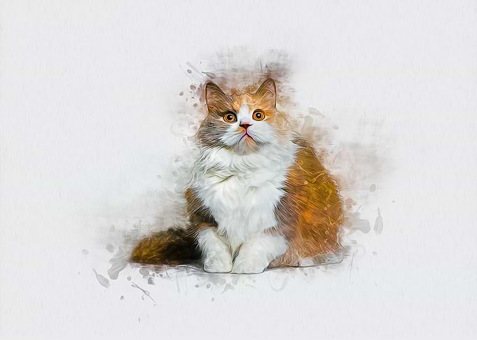 The Hypnotist