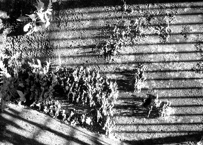 Surface