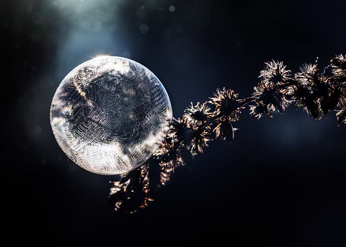 Frozen