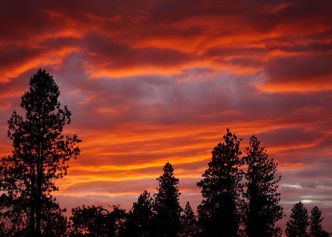 Sunset Storm II