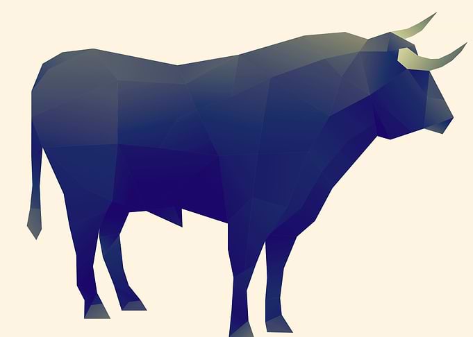 Bull Poly