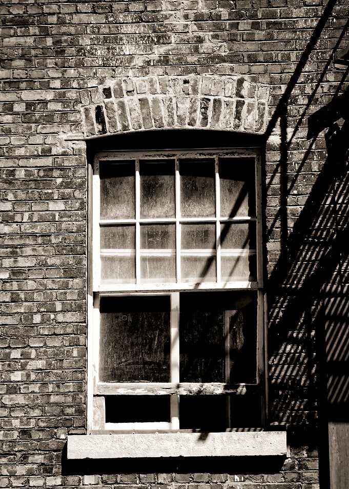 Window