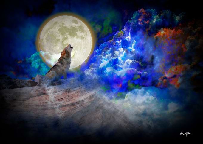 Wolf and full moon