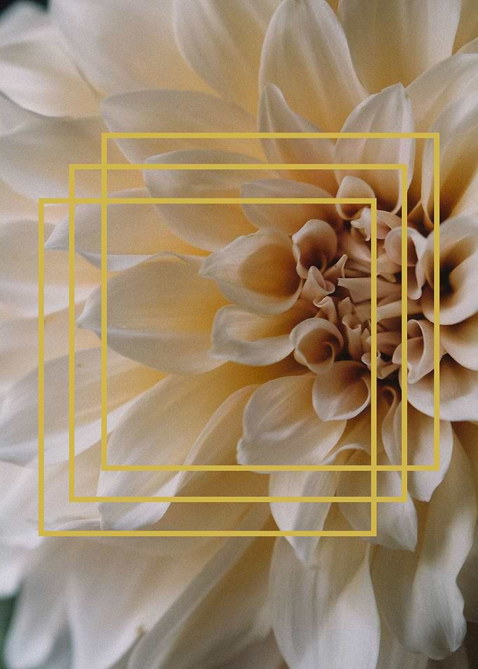 Flower 1