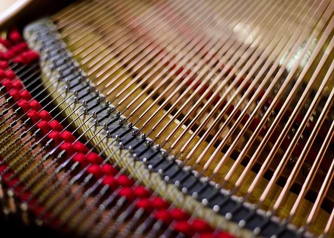 Details inside Grand Piano