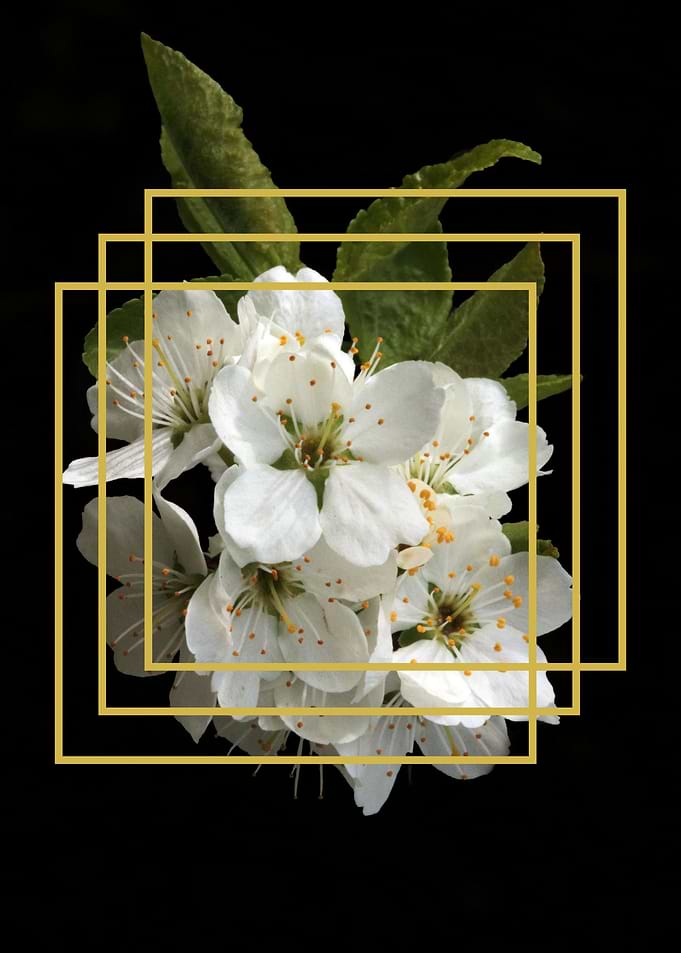 FLOWER 15