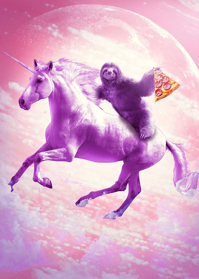 Sloth Riding On Unicorn