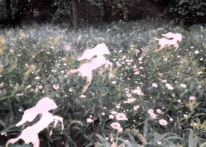 Midsummer secret