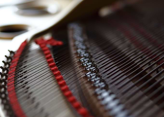 Details inside Grand Piano