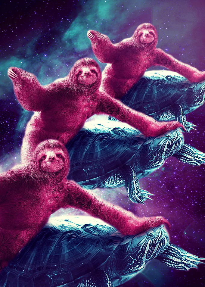 Space Sloth Riding Turtle