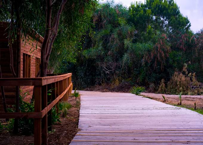 Boardwalk to the beach