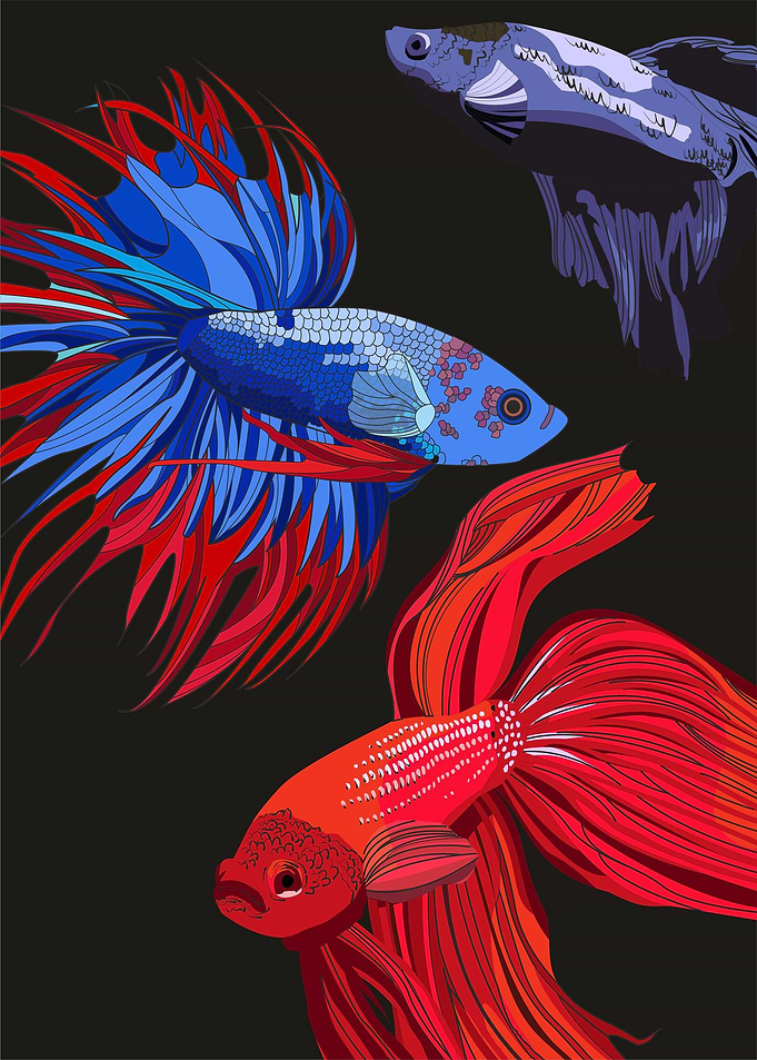 little fishes