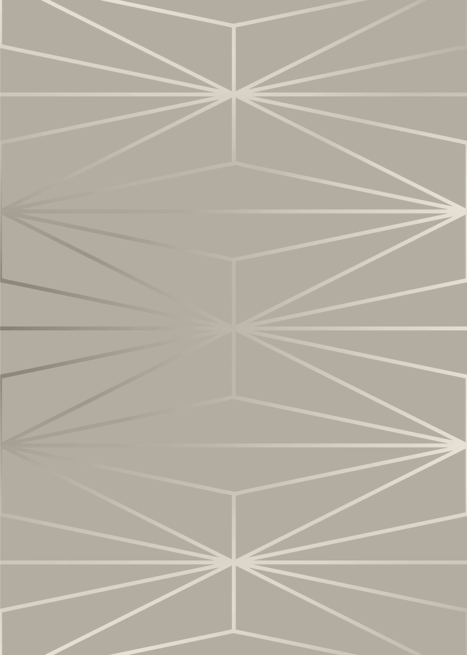ELEGANT SILVER DIAMOND-2