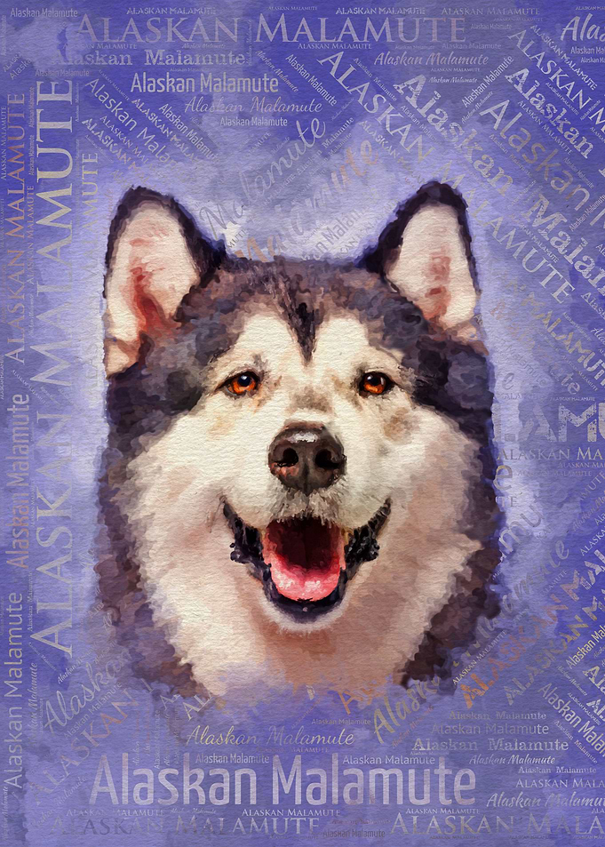 Alaskan Malamute
