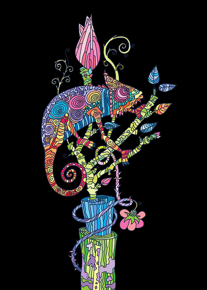 Colorful Chameleon