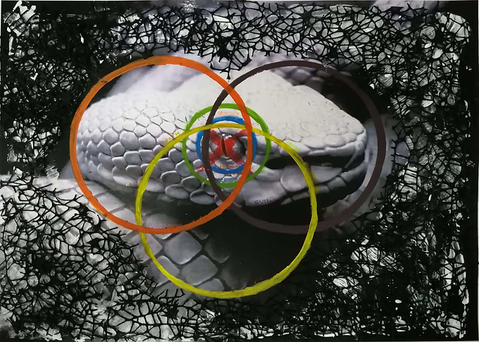 Snake Illusion