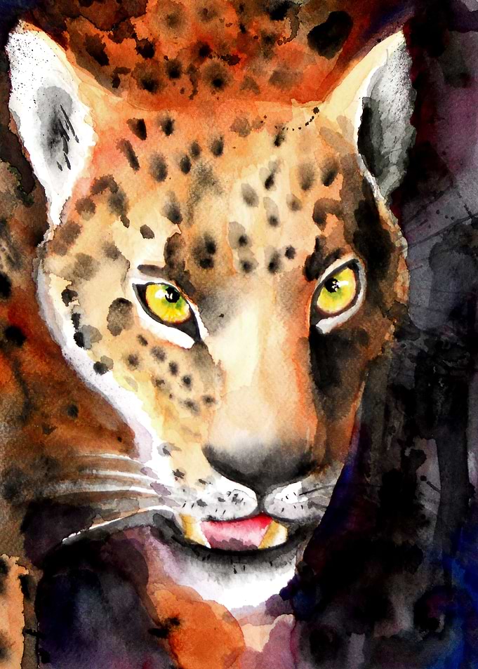 jaguar