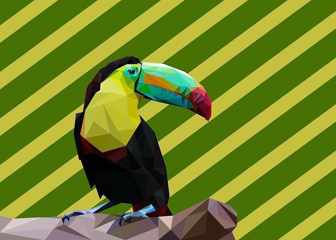 Toucan