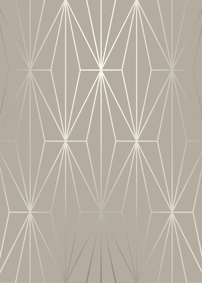 ELEGANT SILVER DIAMOND-1