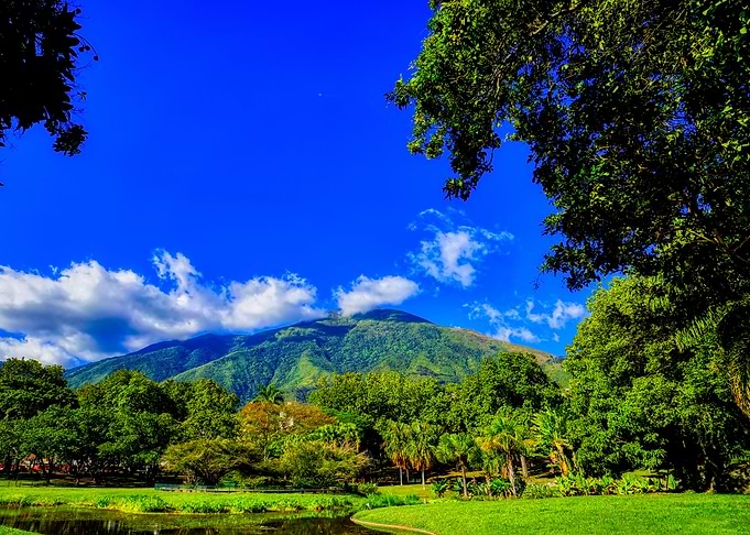 Tropical park landscape