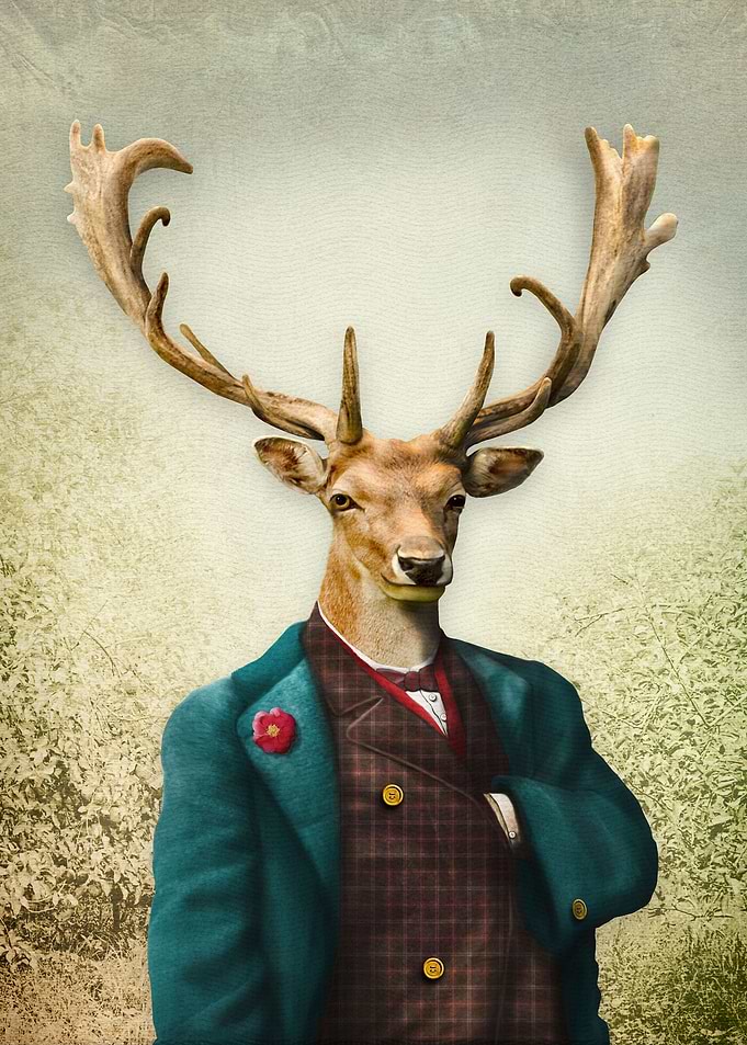 Lord Staghorne in the wood