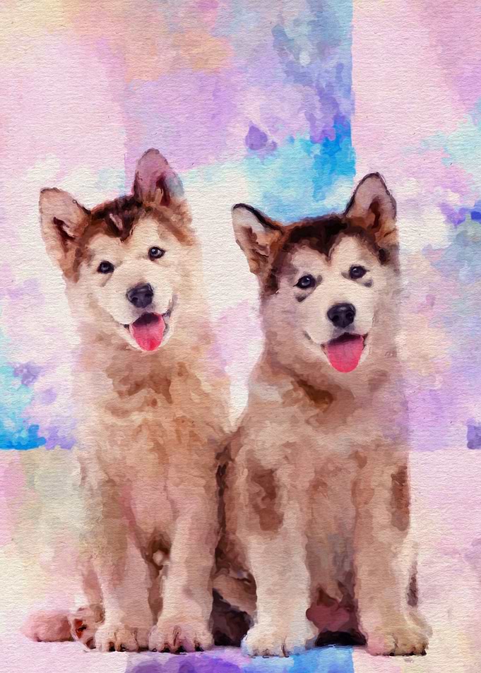 Alaskan Malamute