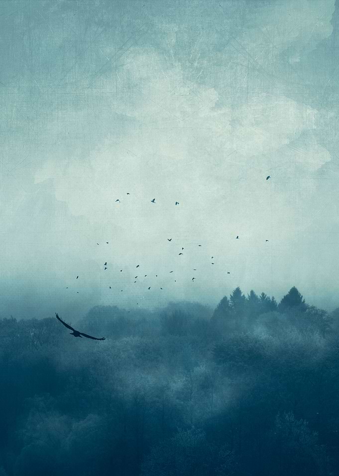 flight home