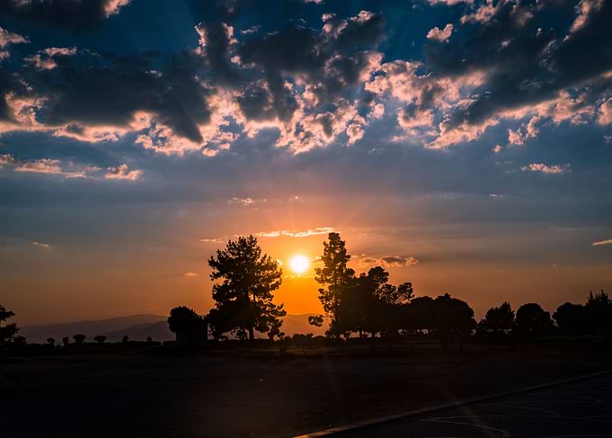 Sunset between trees