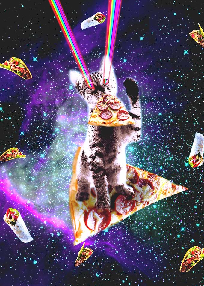 Outer Space Pizza Cat