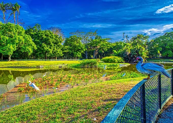 Tropical park landscape