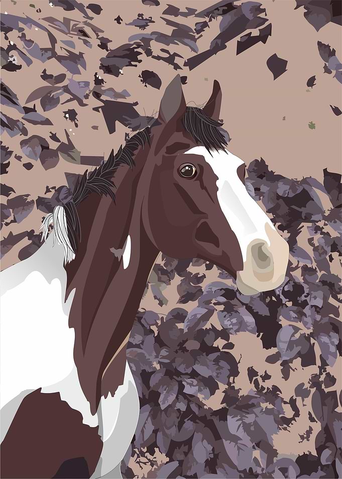 horse
